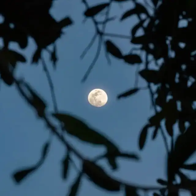 月