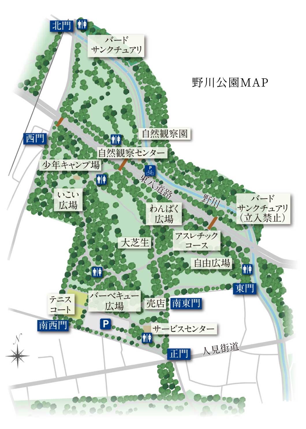 野川公園マップイラスト
