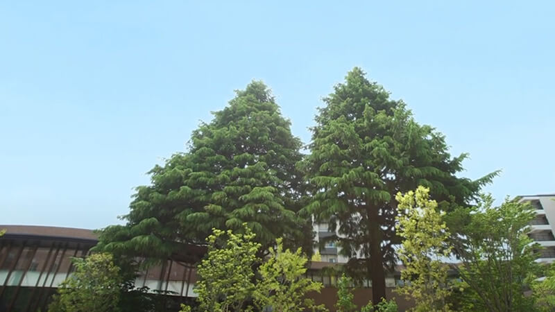 プラウドシティ吉祥寺