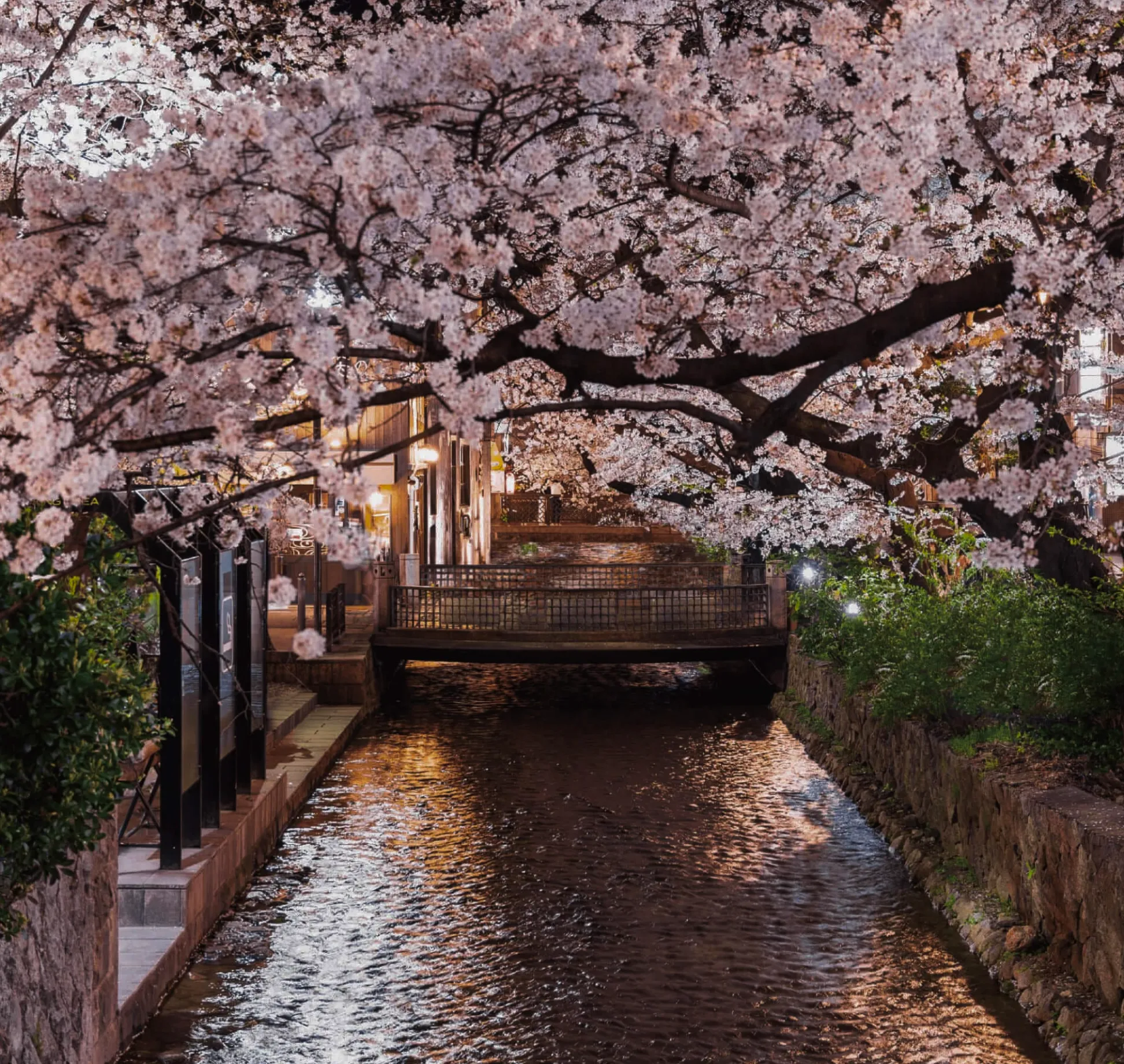 高瀬川（2023年4月撮影）