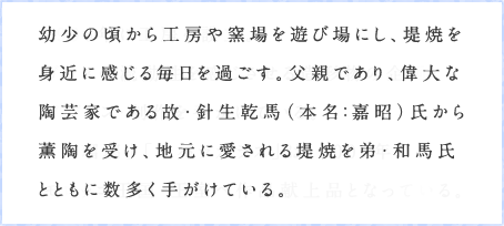 幼少の頃から工房や窯場を遊び場にし、堤焼を身近に感じる毎日を過ごす。父親であり、偉大な陶芸家である故・針生乾馬（本名：嘉昭）氏から薫陶を受け、地元に愛される堤焼を弟・和馬氏とともに数多く手がけている。